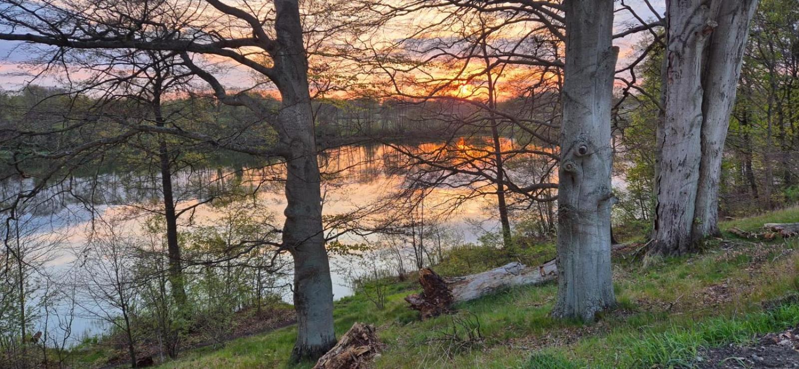 Domek Nad Jeziorem Bystrzyna Świdwin Exterior foto
